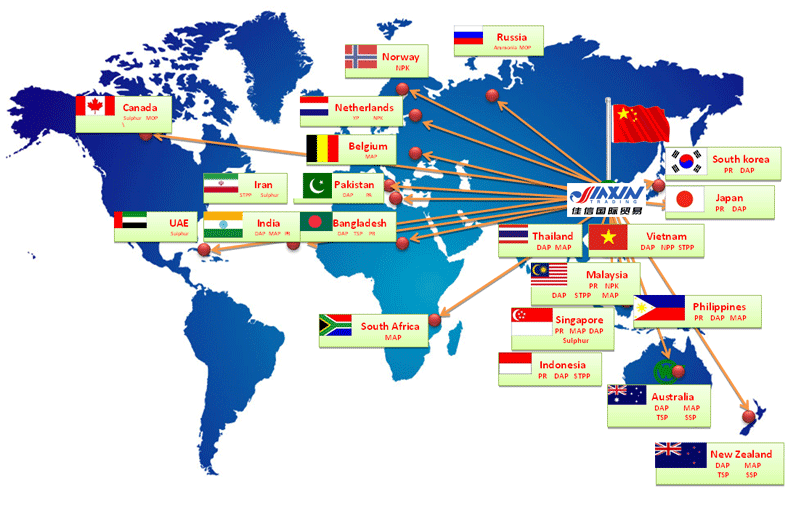 Marketing Network